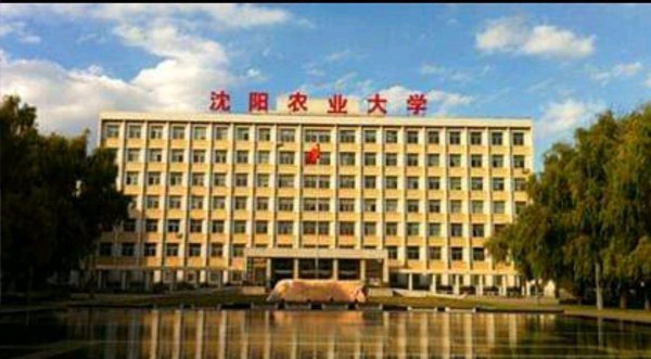 东北大学排名全国几位