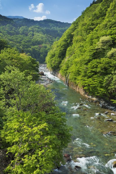 务川自治县属于哪个市