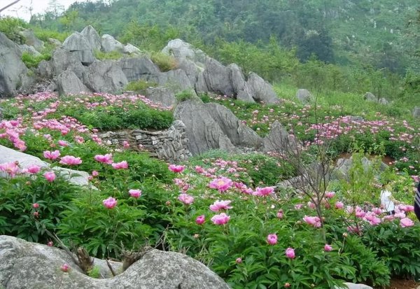 芜湖旅游必去十大景点推荐理由