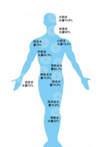 火葬场火化的全过程