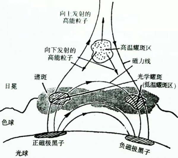 太阳黑子在什么层上活动图解