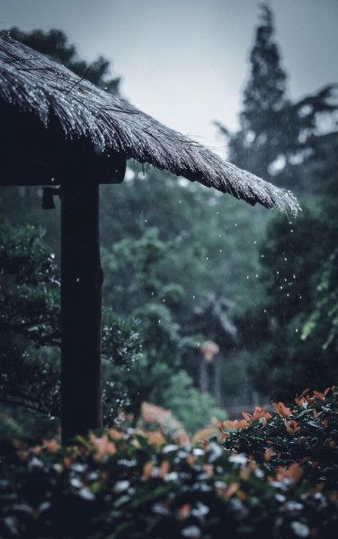 形容听雨的古诗词