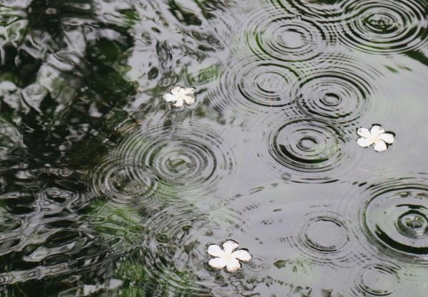 形容听雨的古诗词