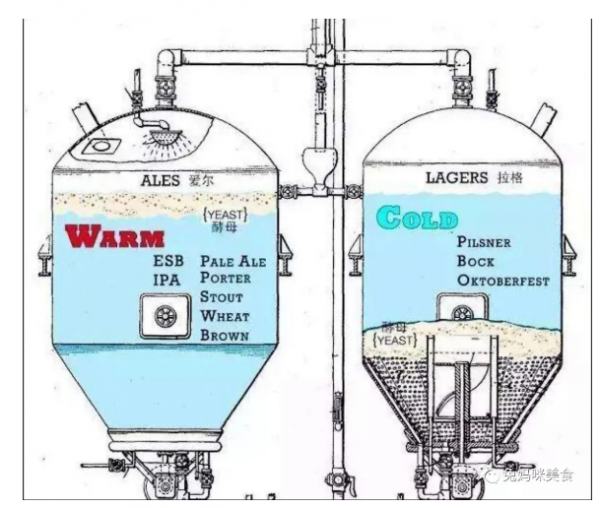 工业啤酒和精酿啤酒怎么区分