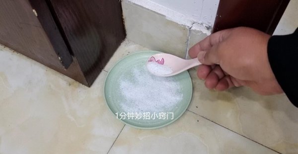 蚂蚁窝怎么消灭它