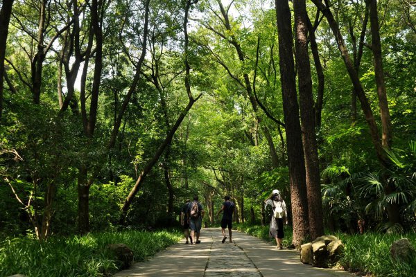 明孝陵简介资料及图片