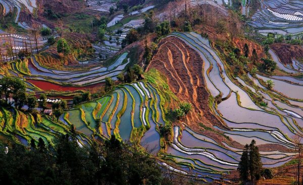 一个人去哪里旅游好玩又便宜