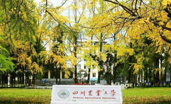 川农是985还是211学校