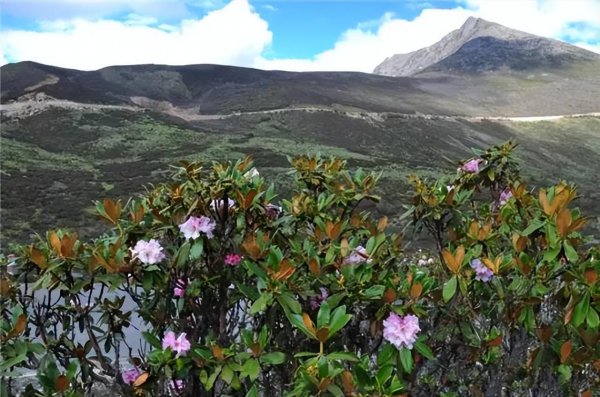 6月份去哪里旅游好玩一点