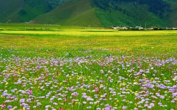 6月份去哪里旅游好玩一点