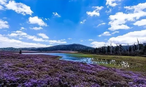 6月份去哪里旅游好玩一点