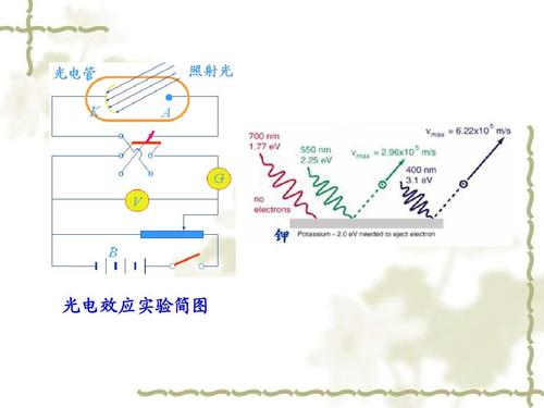 爱因斯坦的个人资料及简介