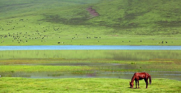 旅游必去的10个地方排名