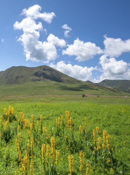 旅游必去的10个地方排名