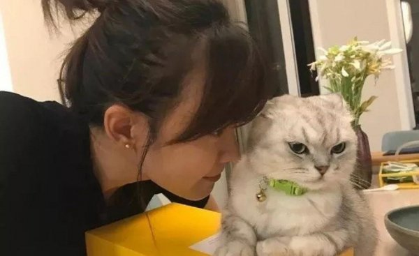 男不养猫女不养狗是什么意思