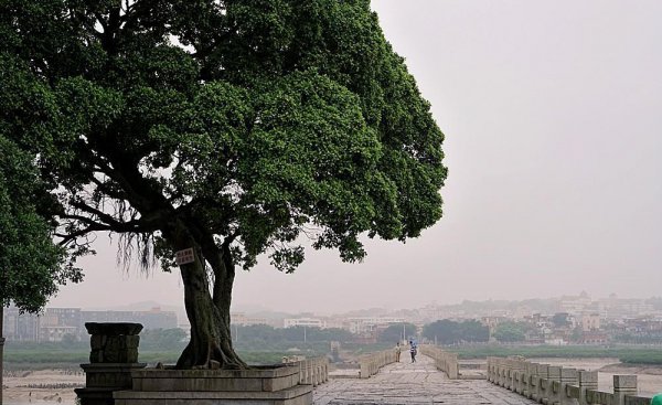 泉州洛阳桥景点介绍