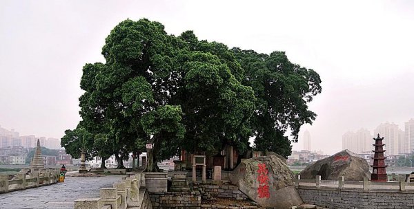 泉州洛阳桥景点介绍