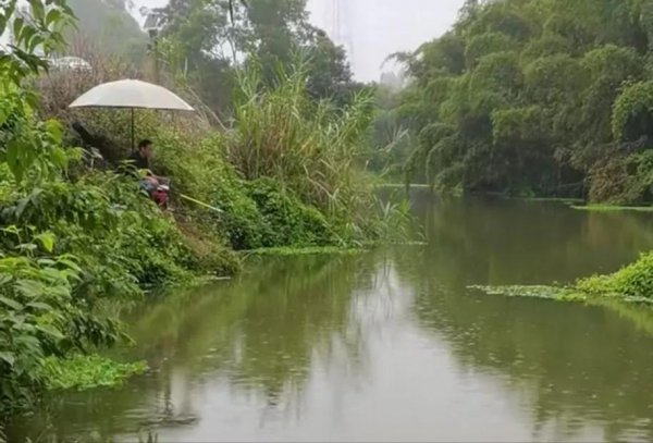 草鱼钓底还是钓浮