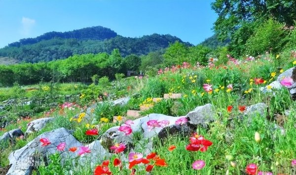 绵阳旅游必去十大景点推荐推荐