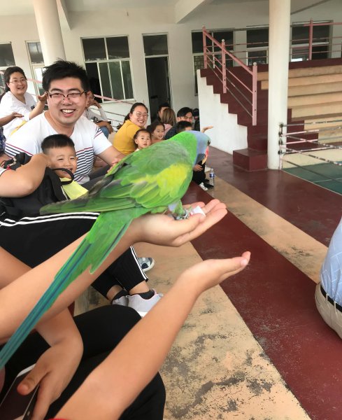 泰安有什么好玩的地方景点推荐