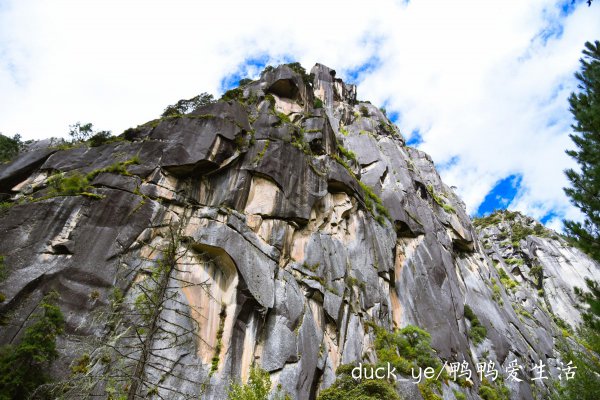 西藏林芝旅游景点有哪些