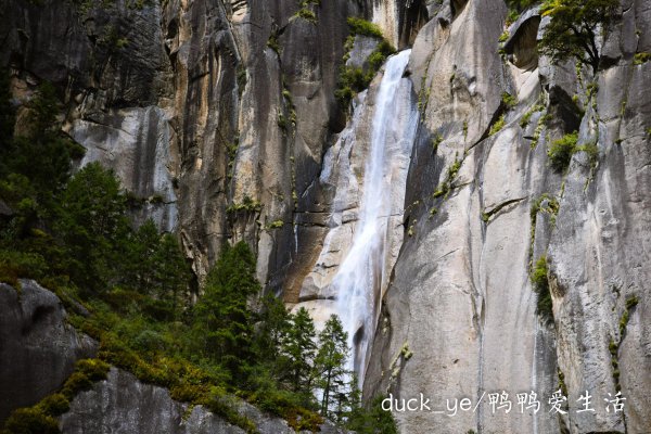 西藏林芝旅游景点有哪些