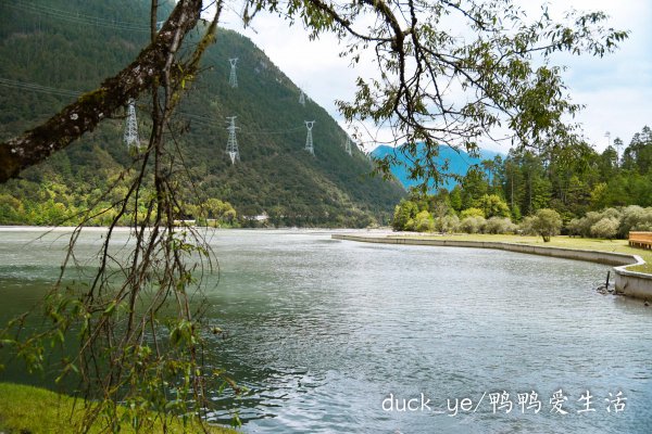 西藏林芝旅游景点有哪些