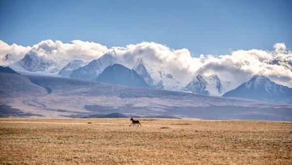 西藏阿里旅游景点有哪些好玩的