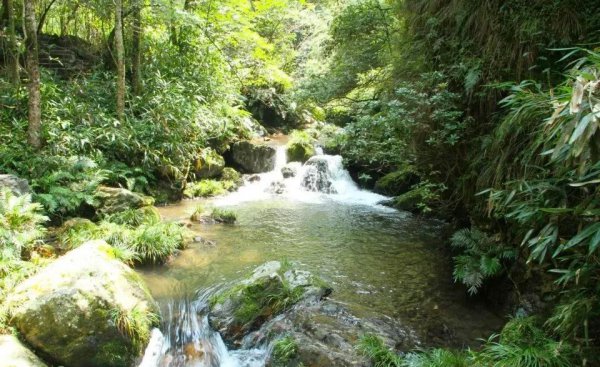 湖南邵阳旅游必去十大景点排名