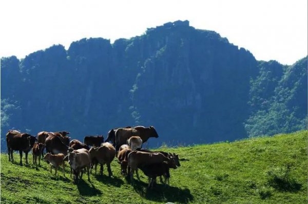 湖南邵阳旅游必去十大景点排名