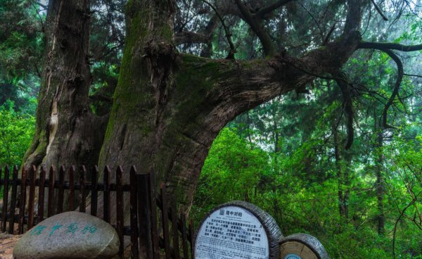 广元旅游景点有哪些地方好玩