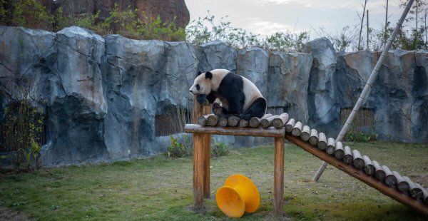 富阳有什么好玩的地方旅游景点