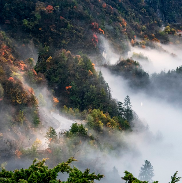 湖北神农架旅游景点介绍