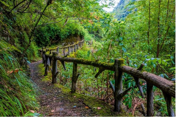 湖北神农架旅游景点介绍