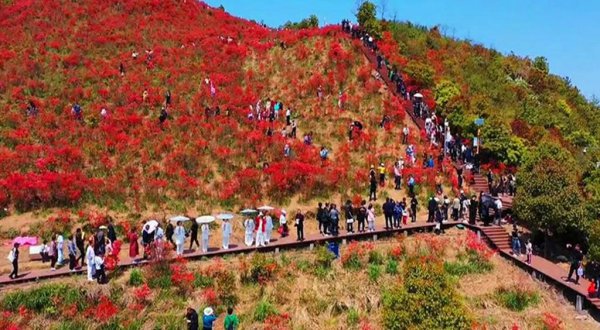 瑞安有什么好玩的地方旅游景点