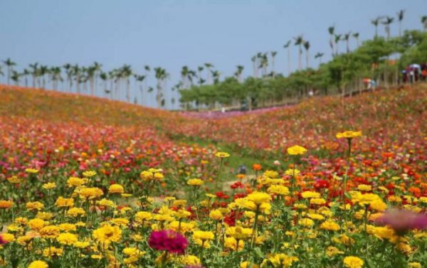 安徽宁国市旅游景点有哪些