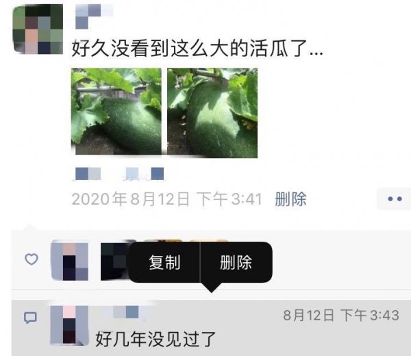 微信朋友圈评论删除后别人还能看到吗