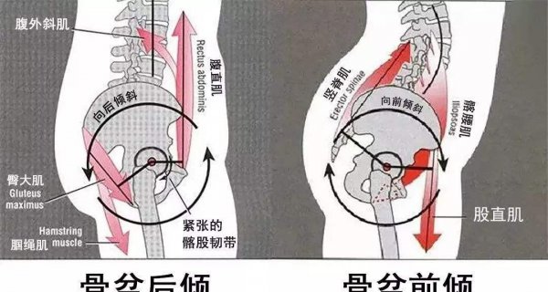 平板支撑记录最高是多少