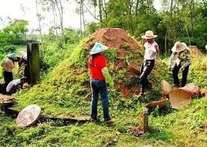 坟上的草要不要拔掉和清理