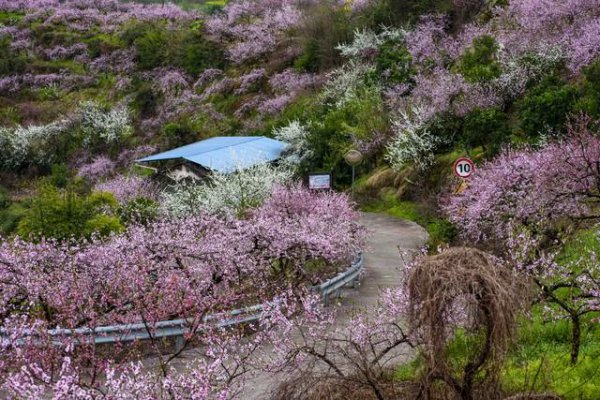 舟山旅游必去的6个景点