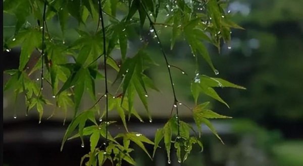 浙江梅雨季节是哪个月份