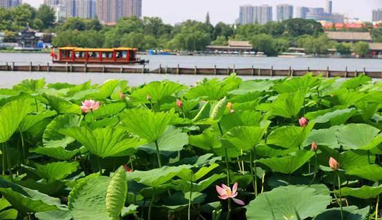 济南好玩的地方景点推荐