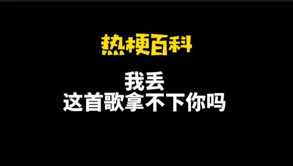 网络用语我丢是什么意思