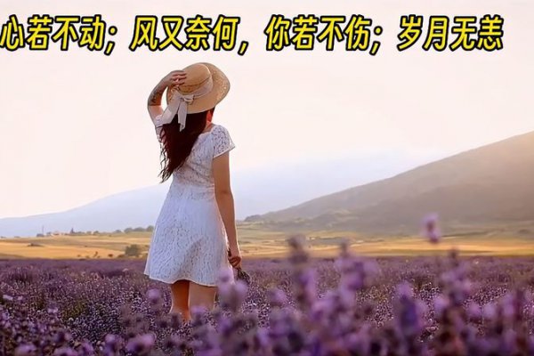 岁月无恙什么意思