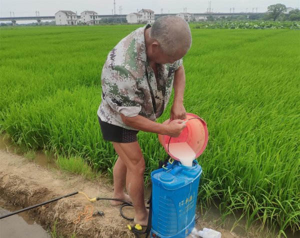 农药的稀释倍数怎样计算