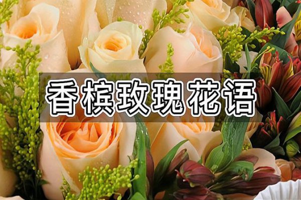 向日葵香槟玫瑰花束什么意思