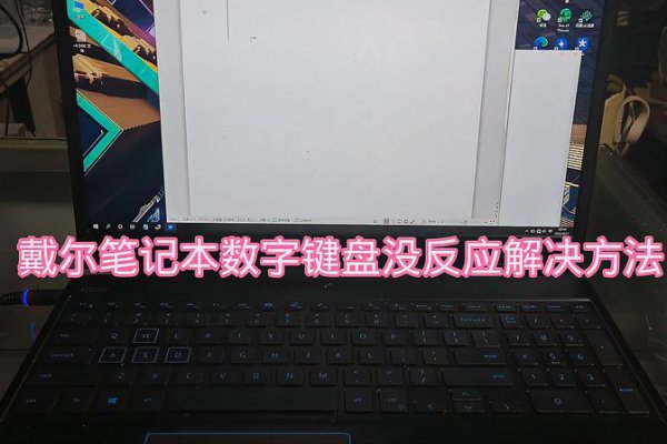 笔记本数字键盘打不出数字