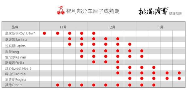 樱桃是什么意思