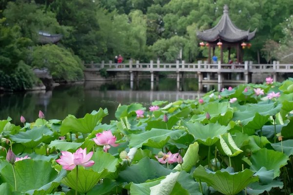 轻浮的女人是什么意思