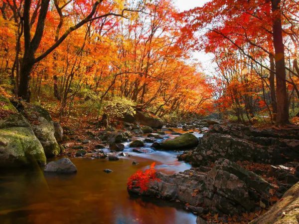 本溪旅游景点大全排名风景区